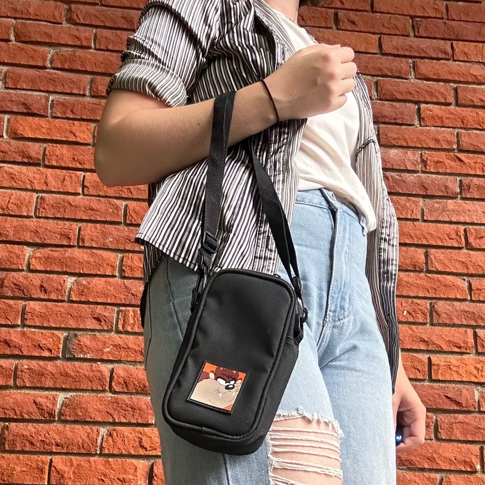 Tasmanian Devil Looney Tunes bag